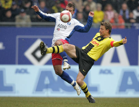 张子宇总能 张子宇总能